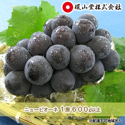 【2026年先行受付】ニュー ピオーネ 1房 600g以上 岡山県産 [No.5735-1430]