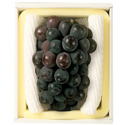 【2026年先行受付】ニュー ピオーネ 1房 600g以上 岡山県産 [No.5735-1430]