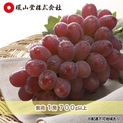  【2026年先行受付】冬ぶどう 紫苑 1房 700g以上 岡山 [No.5735-1431]