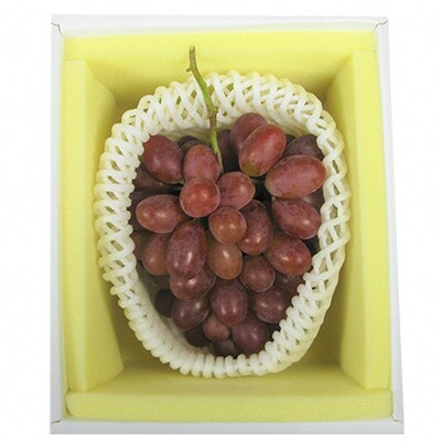  【2026年先行受付】冬ぶどう 紫苑 1房 700g以上 岡山 [No.5735-1431]