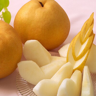  【2026年先行受付】あたご梨 2玉 合計1.8kg以上 岡山 [No.5735-1434]