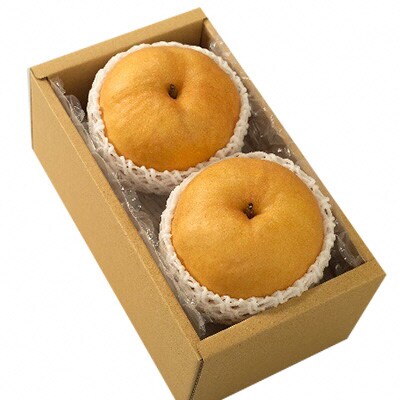  【2026年先行受付】あたご梨 2玉 合計1.8kg以上 岡山 [No.5735-1434]