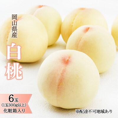 【2025年先行受付】白桃 6玉(1玉300g以上)化粧箱入り 岡山県産[No.5735-1442]