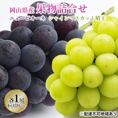ニュー ピオーネ・シャイン マスカット 晴王 各1房 詰め合せ 岡山県産[No.5735-1445]
