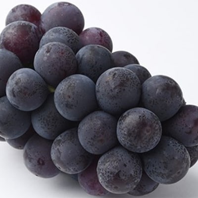 ニュー ピオーネ・シャイン マスカット 晴王 各1房 詰め合せ 岡山県産[No.5735-1445]