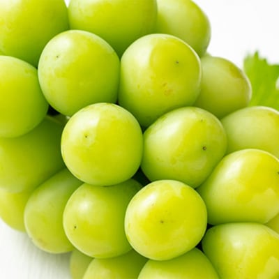 ニュー ピオーネ・シャイン マスカット 晴王 各1房 詰め合せ 岡山県産[No.5735-1445]