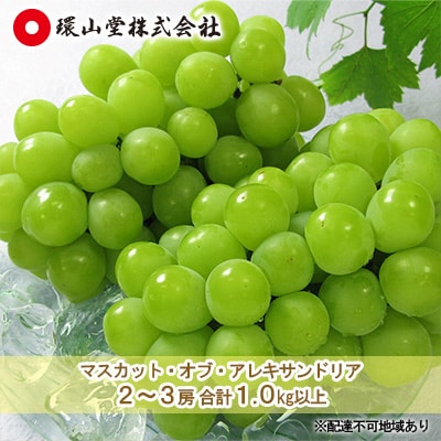マスカット・オブ・アレキサンドリア2～3房 合計1.0kg以上 岡山県産[No.5735-1432]