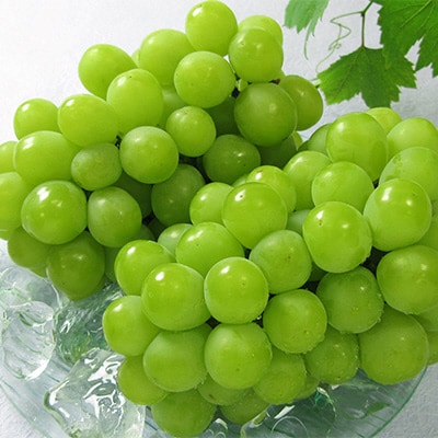 マスカット・オブ・アレキサンドリア2～3房 合計1.0kg以上 岡山県産[No.5735-1432]