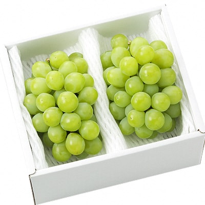 マスカット・オブ・アレキサンドリア2～3房 合計1.0kg以上 岡山県産[No.5735-1432]