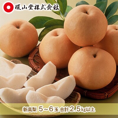 新高 梨 5～6玉 合計2.5kg以上  岡山県産 フルーツ  環山堂 [No.5735-1433]