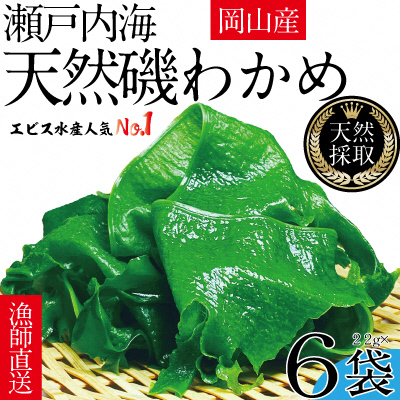 風味豊かな 瀬戸内 わかめ 22g&times;6袋 エビス水産 [No.5735-1277]