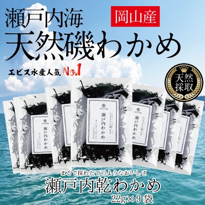 風味豊かな 瀬戸内 わかめ 22g×9袋 エビス水産 [No.5735-1278]