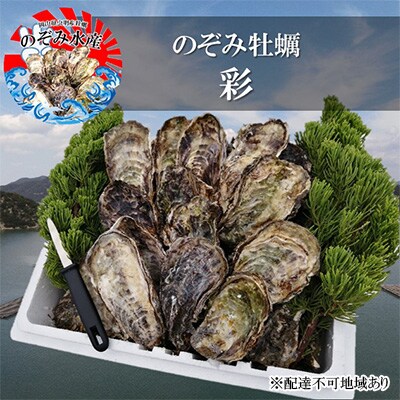 純正卸売 ふるさと納税 瀬戸内市 のぞみ 牡蠣 [絆] 殻付き約30個 