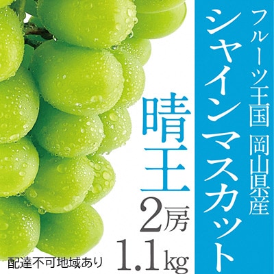 【2026年先行受付】シャインマスカット晴王2房(約1.1kg)岡山県産[No.5735-1306]
