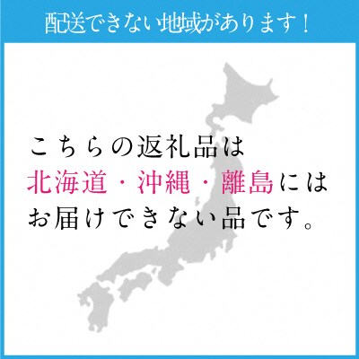 【2026年先行受付】シャインマスカット晴王2房(約1.1kg)岡山県産[No.5735-1306]