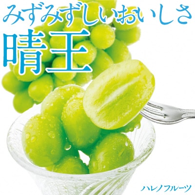 【2026年先行受付】シャインマスカット晴王2房(約1.1kg)岡山県産[No.5735-1306]