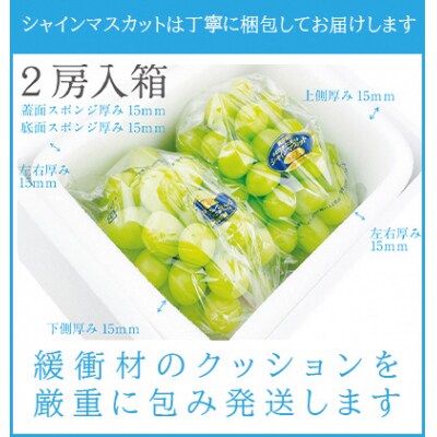 【2026年先行受付】シャインマスカット晴王2房(約1.1kg)岡山県産[No.5735-1306]