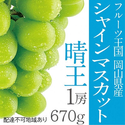 【2026年先行受付】シャインマスカット晴王 1房 約670g 岡山県産[No.5735-1305]