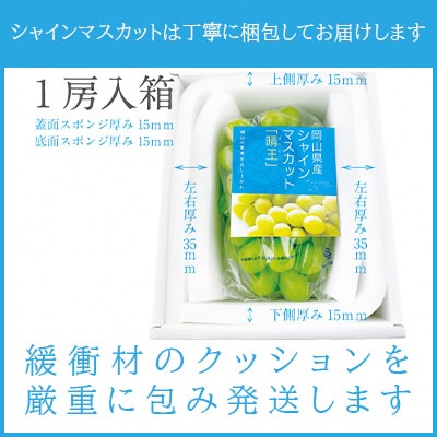 【2026年先行受付】シャインマスカット晴王 1房 約670g 岡山県産[No.5735-1305]