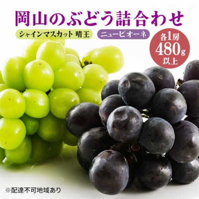 ニュー ピオーネ・シャイン マスカット 晴王 各1房 詰合せ 岡山県産[No.5735-1459]