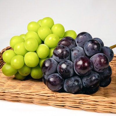 ニュー ピオーネ・シャイン マスカット 晴王 各1房 詰合せ 岡山県産[No.5735-1459]