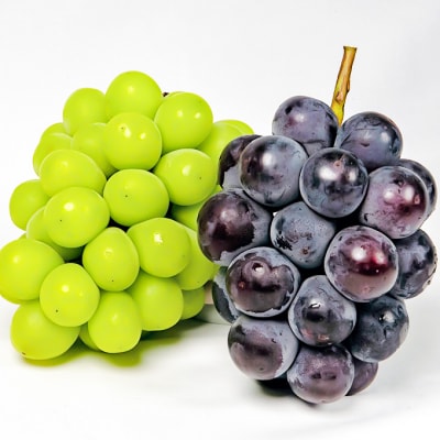 ニュー ピオーネ・シャイン マスカット 晴王 各1房 詰合せ 岡山県産[No.5735-1459]