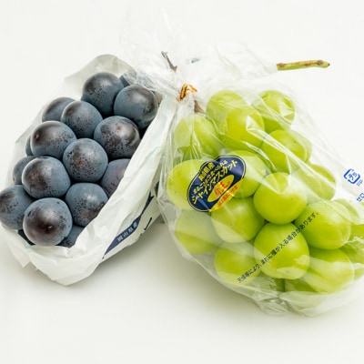 ニュー ピオーネ・シャイン マスカット 晴王 各1房 詰合せ 岡山県産[No.5735-1459]