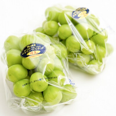 【2026年先行受付】シャインマスカット晴王 2房  化粧箱入 岡山県産[No.5735-1461]