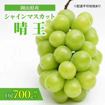 【2026年先行受付】シャインマスカット晴王 1房700g以上 岡山県産[No.5735-1462]