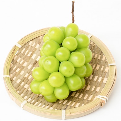 【2026年先行受付】シャインマスカット晴王 1房700g以上 岡山県産[No.5735-1462]