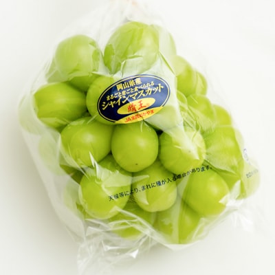 【2026年先行受付】シャインマスカット晴王 1房700g以上 岡山県産[No.5735-1462]