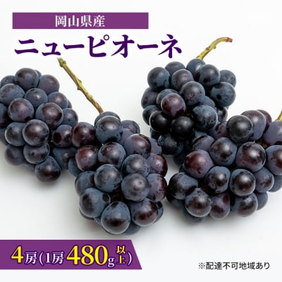 【2026年先行受付】ニュー ピオーネ 4房(1房480g以上)岡山県産[No.5735-1463]