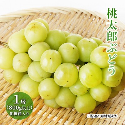 【2025年先行受付】桃太郎 ぶどう 1房 (800g以上)  岡山県産[No.5735-1470]