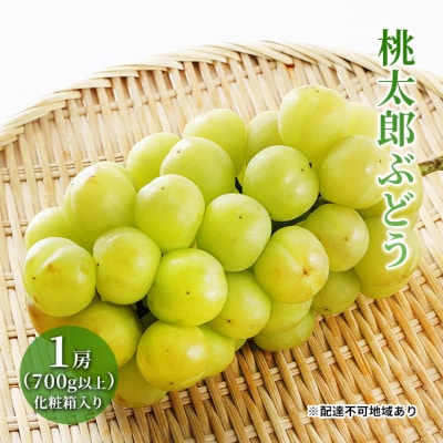 【2025年先行受付】桃太郎 ぶどう 1房 (700g以上) 岡山県産 [No.5735-1471]