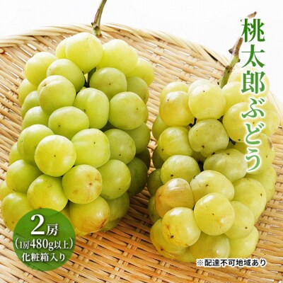 【2025年先行受付】桃太郎 ぶどう 2房(1房480g以上)岡山県産 [No.5735-1472]