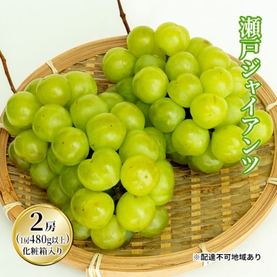 【2025年先行受付】瀬戸ジャイアンツ 2房(1房480g以上)岡山県産[No.5735-1473]