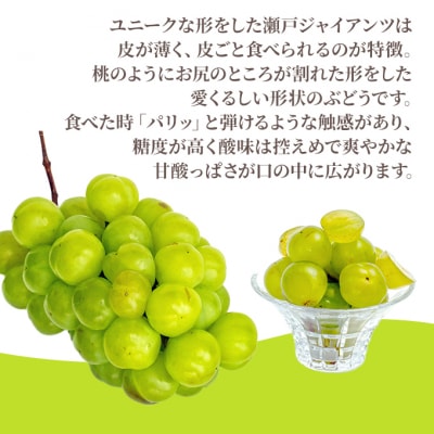 【2026年先行受付】瀬戸ジャイアンツ 2房(1房480g以上)岡山県産[No.5735-1473]