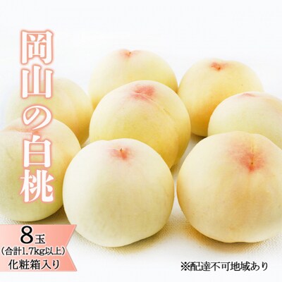【2026年先行受付】岡山 の 白桃 8玉(合計1.7kg以上)化粧箱入[No.5735-1467]