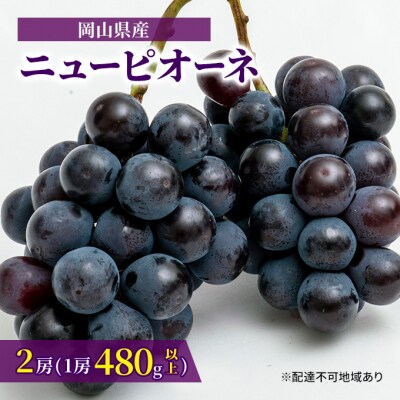 【2025年先行受付】ニュー ピオーネ 2房(1房480g以上)岡山県産[No.5735-1464]