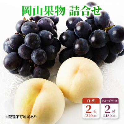 果物詰合せ 白桃 2玉・ニューピオーネ 2房 化粧箱入り 岡山県産 [No.5735-1468]