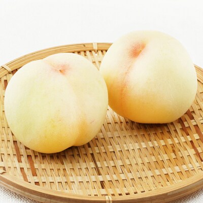 果物詰合せ 白桃 2玉・ニューピオーネ 2房 化粧箱入り 岡山県産 [No.5735-1468]