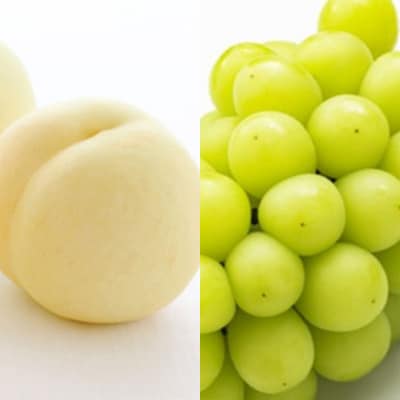  晴れの国 岡山 の フルーツ 定期便 6回コース 桃 ぶどう 梨 果物[No.5735-1474]