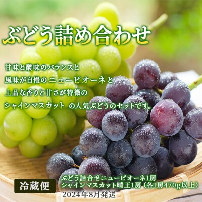  晴れの国 岡山 の フルーツ 定期便 6回コース 桃 ぶどう 梨 果物[No.5735-1474]