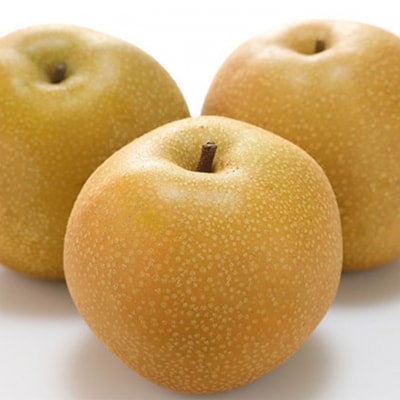  晴れの国 岡山 の フルーツ 定期便 6回コース 桃 ぶどう 梨 果物[No.5735-1474]