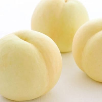  晴れの国 岡山 の フルーツ 定期便 3回コース 桃 ぶどう 梨 果物[No.5735-1475]