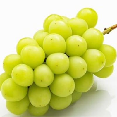  晴れの国 岡山 の フルーツ 定期便 3回コース 桃 ぶどう 梨 果物[No.5735-1475]