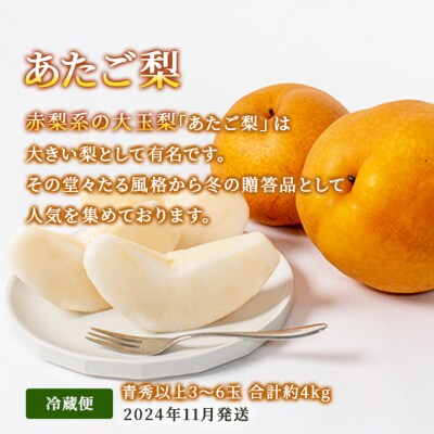  晴れの国 岡山 の フルーツ 定期便 3回コース 桃 ぶどう 梨 果物[No.5735-1475]