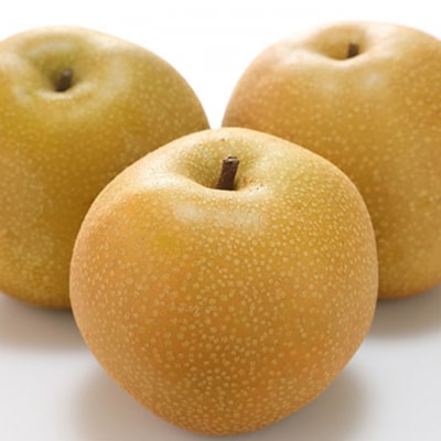  晴れの国 岡山 の フルーツ 定期便 3回コース 桃 ぶどう 梨 果物[No.5735-1475]