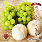 【2026年先行受付】晴れの国 岡山 の フルーツ 定期便 2回コース [No.5735-1476]