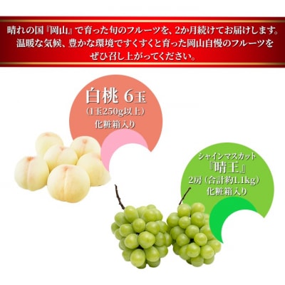 【2026年先行受付】晴れの国 岡山 の フルーツ 定期便 2回コース [No.5735-1476]